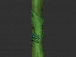 realistic grabbed hands 3D Модель