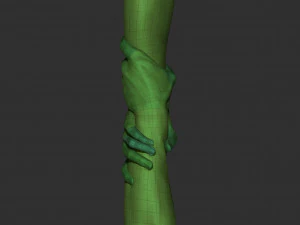 realistic grabbed hands 3D Model