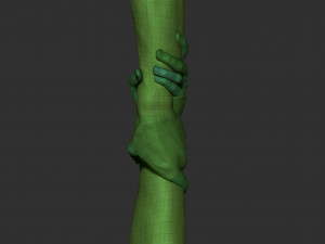 realistic grabbed hands 3D Модель