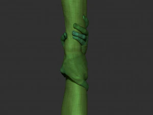realistic grabbed hands 3D Model