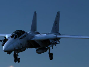 Grumman F-14 Tomcat Modelo 3D