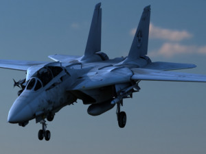 grumman f-14 tomcat 3D 모델