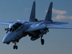 grumman f-14 tomcat 3D Model