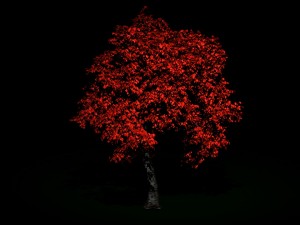 mesh tree 3D-Modell