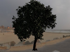 mesh tree Model 3D