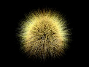 ball fur 3D 모델