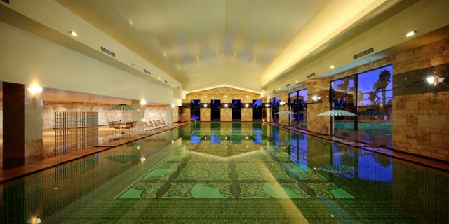 pool 3D Model .c4d .max .obj .3ds .fbx .stl .blend