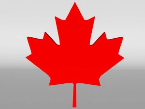 Kanada akçaağaç yaprağı 3D Model