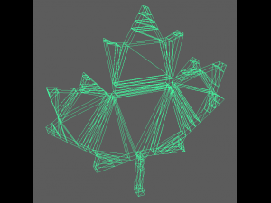 canadian maple leaf Model 3D
