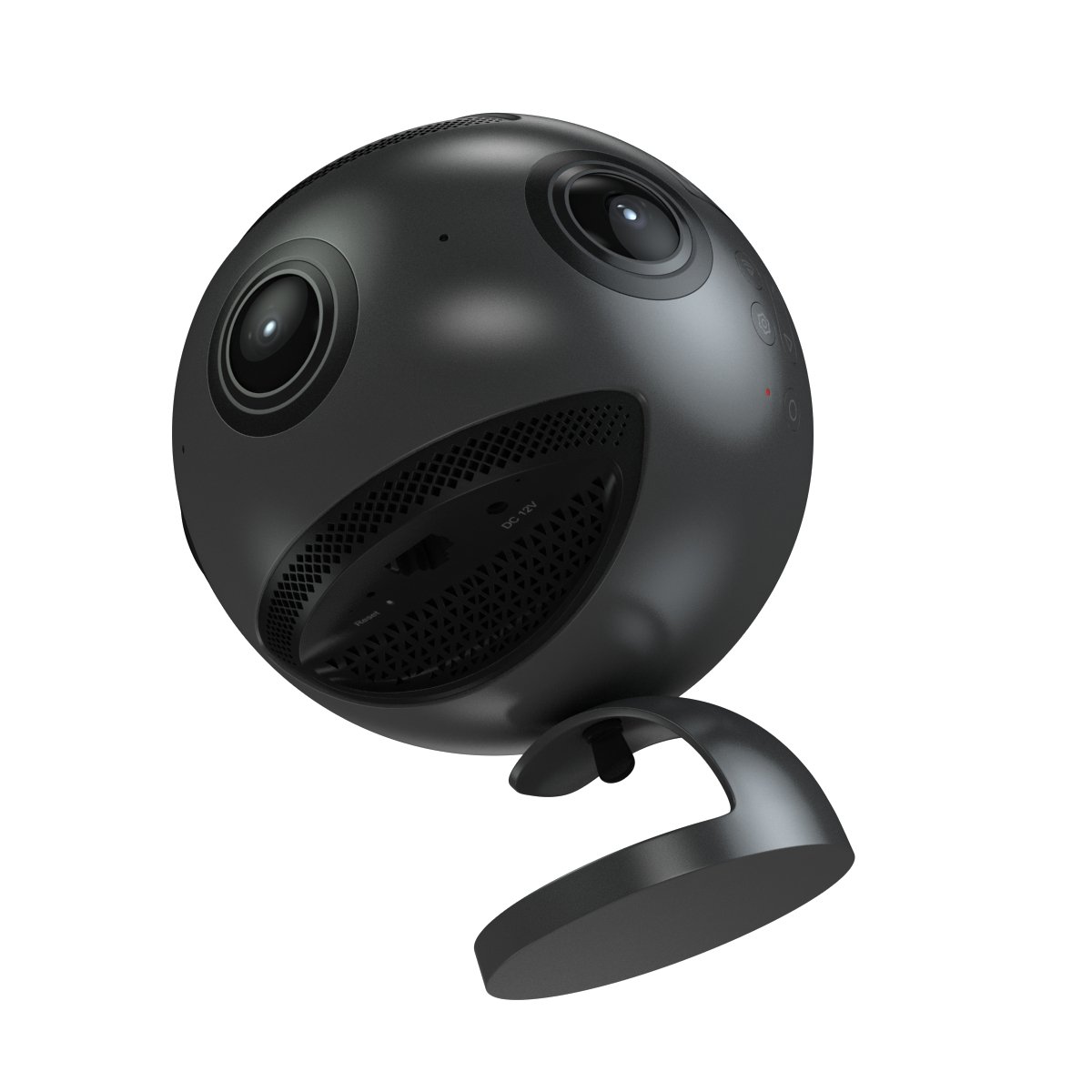 360 pro. Insta360 съемка с животного