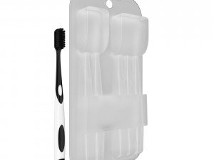 3d toothbrush and case model 3D 모델