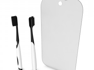 3d toothbrush and case model 3D 모델