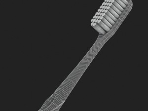 3d toothbrush and case model 3D 모델