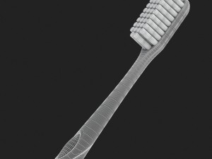3d toothbrush and case model 3D 모델