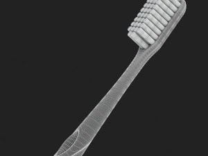 3d toothbrush and case model 3D Model
