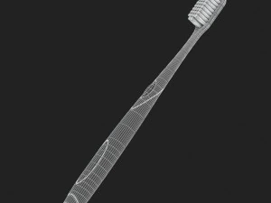 3d toothbrush and case model 3D Model