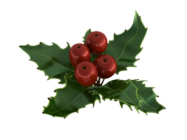 mistletoe sprig holly 3D Model .c4d .max .obj .3ds .fbx .stl .blend 