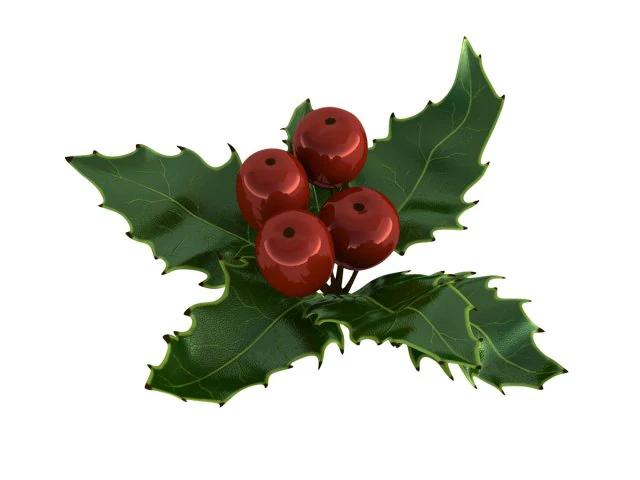 mistletoe sprig holly 3D Model .c4d .max .obj .3ds .fbx .stl .blend 