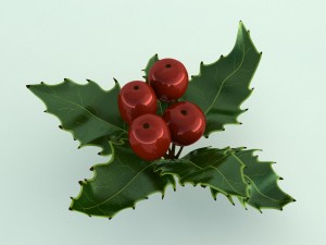 mistletoe sprig holly 3D Model