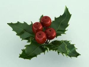 mistletoe sprig holly 3D Model
