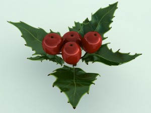 mistletoe sprig holly 3D Model