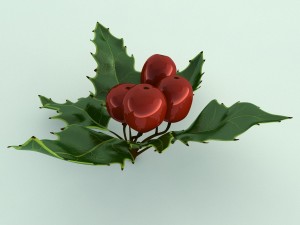 mistletoe sprig holly 3D Model