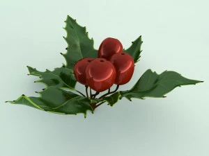 mistletoe sprig holly 3D Model