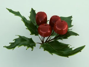 mistletoe sprig holly 3D Model