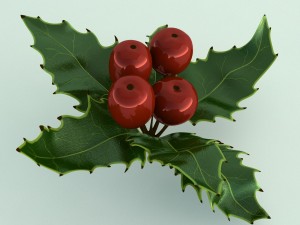 mistletoe sprig holly 3D Model
