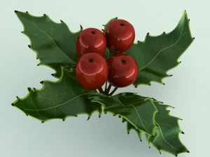mistletoe sprig holly 3D Model