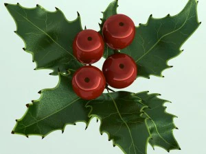 mistletoe sprig holly 3D Model