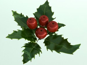 mistletoe sprig holly 3D Model