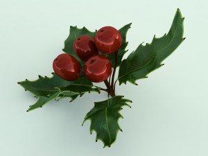 mistletoe sprig holly 3D Model