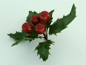 mistletoe sprig holly 3D Model
