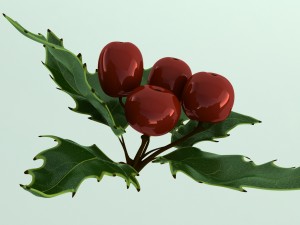 mistletoe sprig holly 3D Model