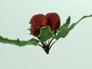mistletoe sprig holly 3D Model