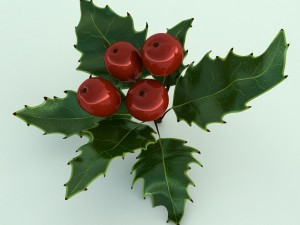 mistletoe sprig holly 3D Model