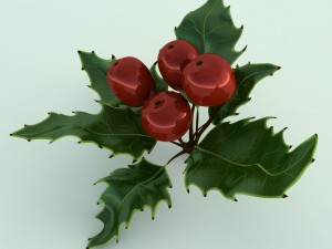 mistletoe sprig holly 3D Model