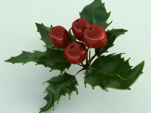 mistletoe sprig holly 3D Model