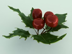 mistletoe sprig holly 3D Model