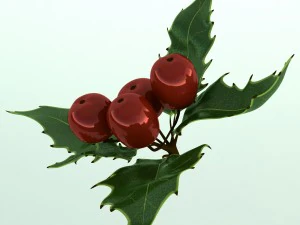 mistletoe sprig holly 3D Model