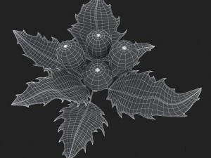 mistletoe sprig holly 3D Model
