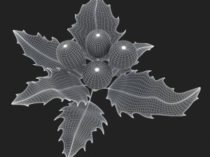 mistletoe sprig holly 3D Model
