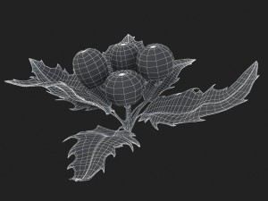 mistletoe sprig holly 3D Model