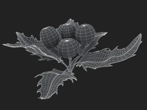 mistletoe sprig holly 3D Model