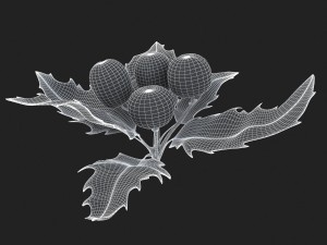 mistletoe sprig holly 3D Model