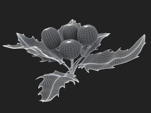 mistletoe sprig holly 3D Model