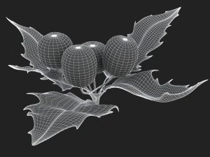 mistletoe sprig holly 3D Model