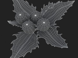 mistletoe sprig holly 3D Model