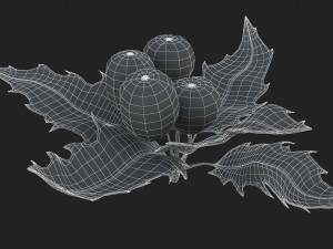 mistletoe sprig holly 3D Model
